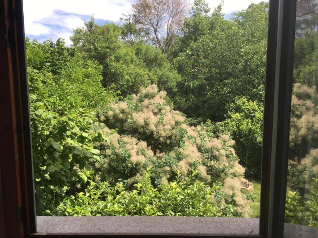 Budapest Garden Hostel Екстер'єр фото